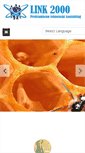 Mobile Screenshot of link-2000.com